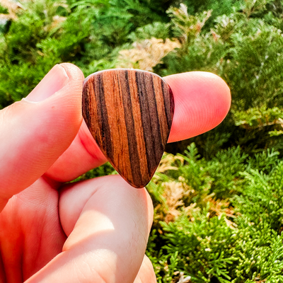 351 Shape | Rosewood 3.0 Pick Pack