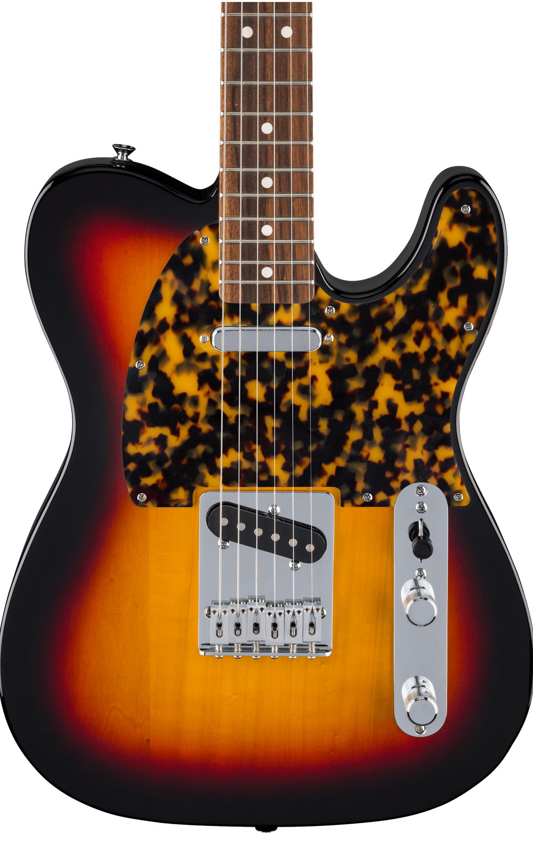 Tokyo Tortoise | Telecaster Pickguard