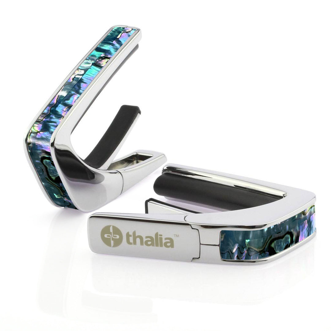 Maya Blue Mexican Abalone | Capo