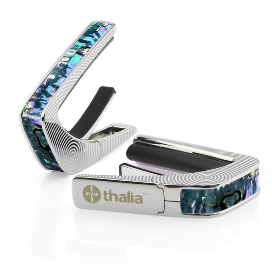Maya Blue Mexican Abalone | Capo