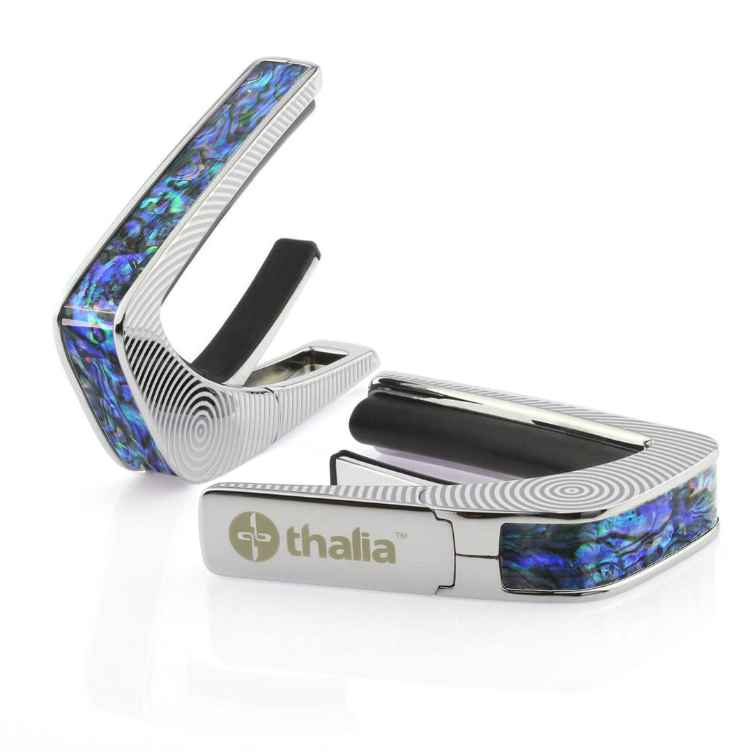 Blue Abalone | Capo