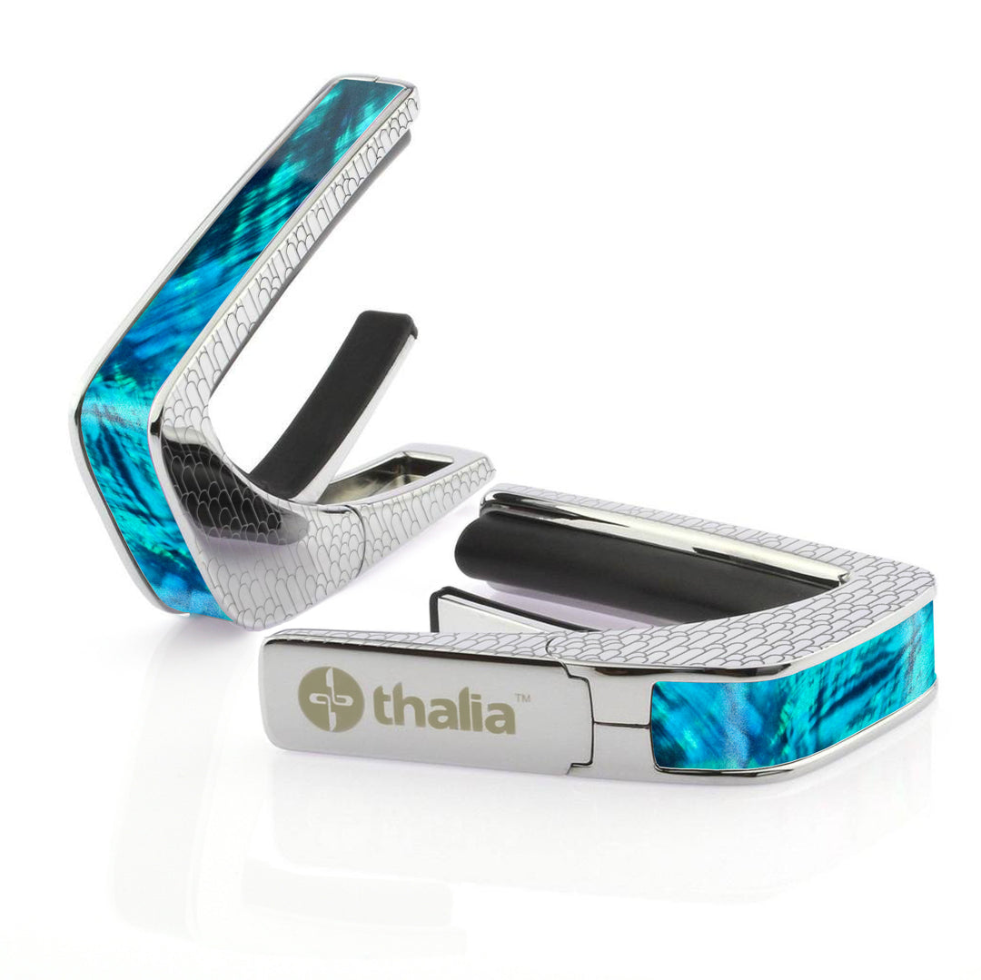 Teal Angel Wing | Capo