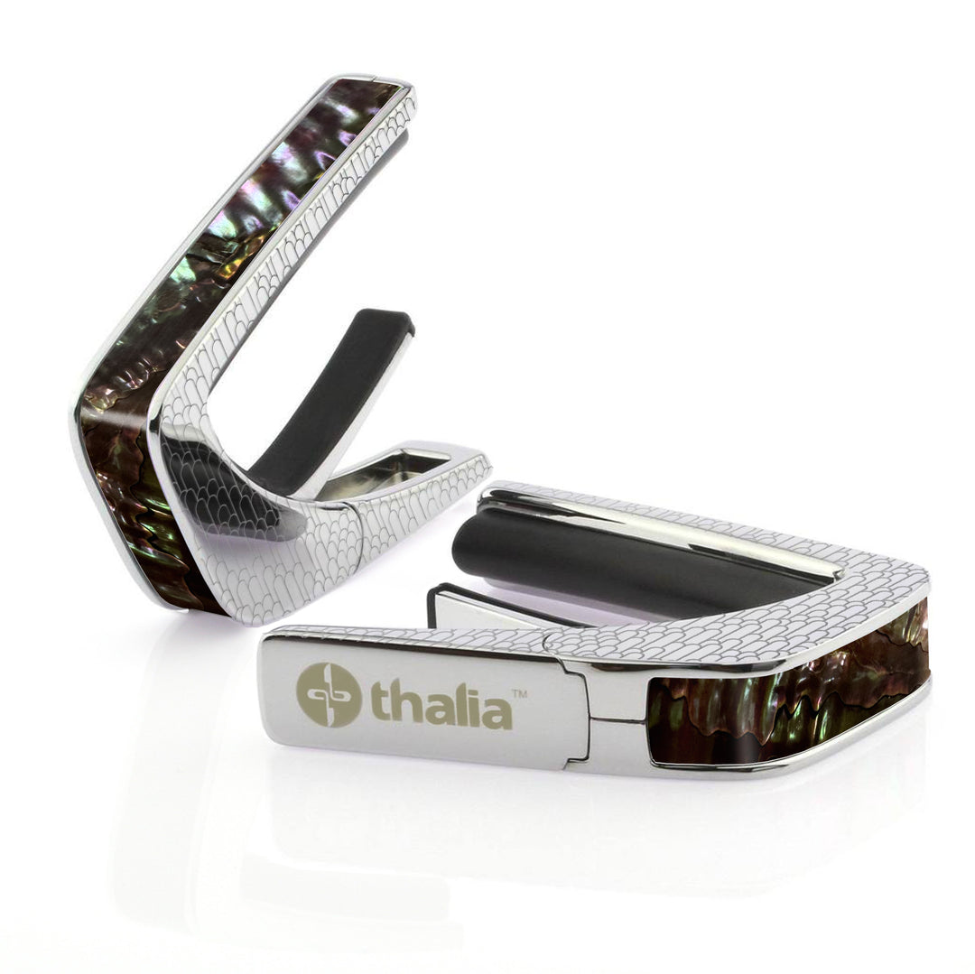 Aurora Abalone | Capo