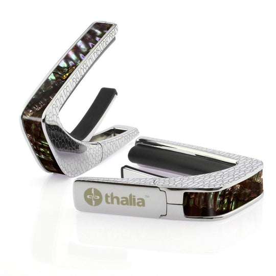 Aurora Abalone | Capo