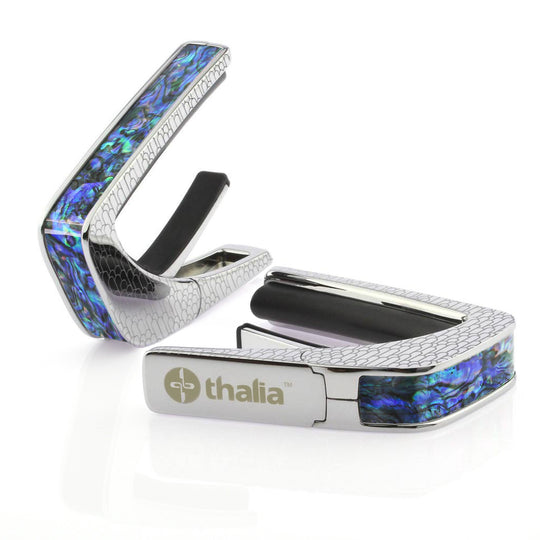 Blue Abalone | Capo