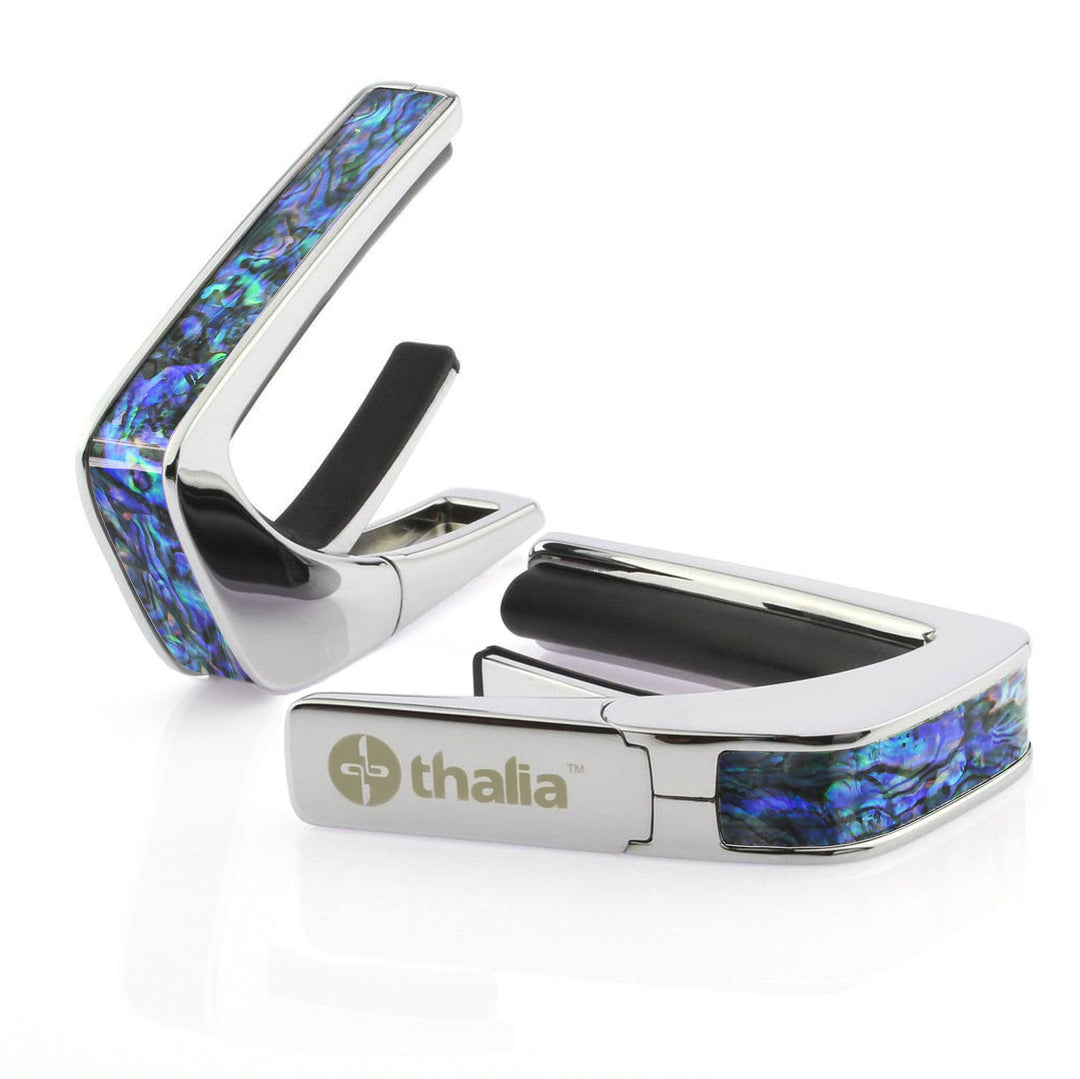 Blue Abalone | Capo