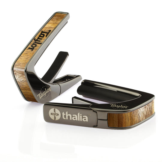 Taylor AAA Curly Hawaiian Koa Logo Engraving | Officially Licensed Capo