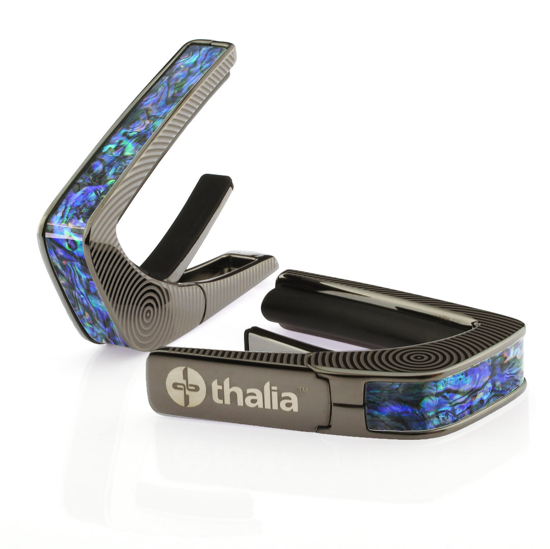 Blue Abalone | Capo