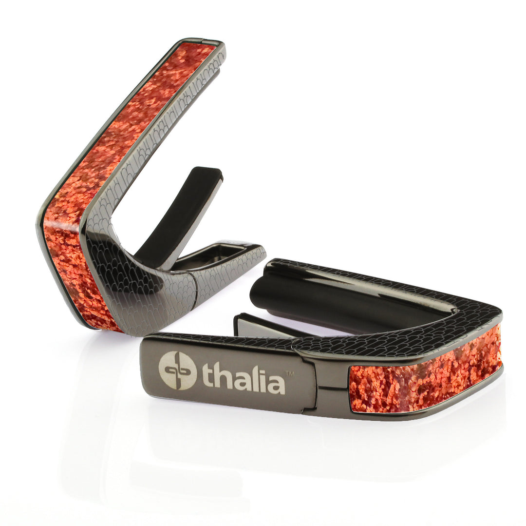 Sparkle Shell | Capo