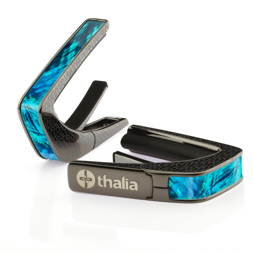 Teal Angel Wing | Capo