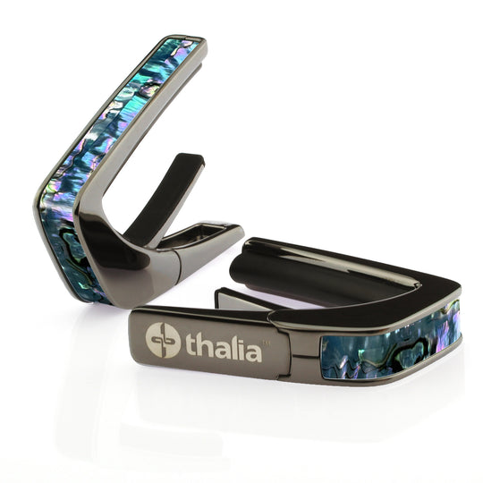 Maya Blue Mexican Abalone | Capo