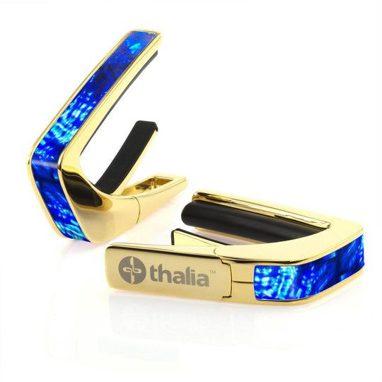 Electric Blue Angel Wing | Capo