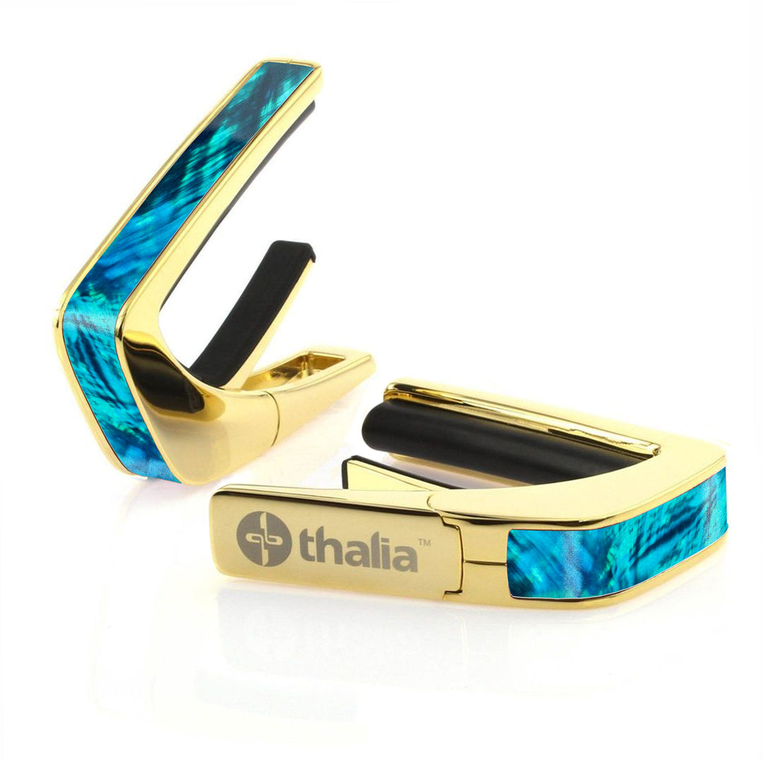 Teal Angel Wing | Capo