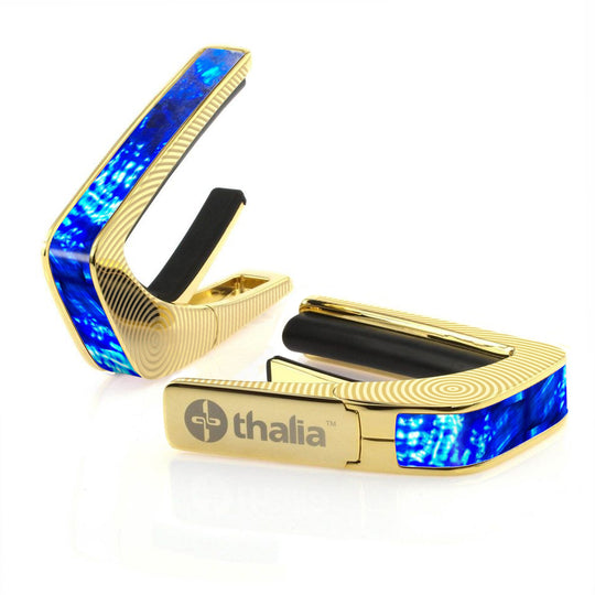 Electric Blue Angel Wing | Capo