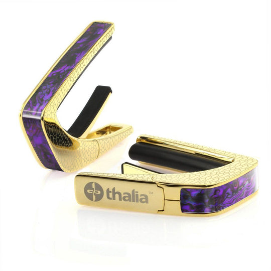 Purple Paua | Capo