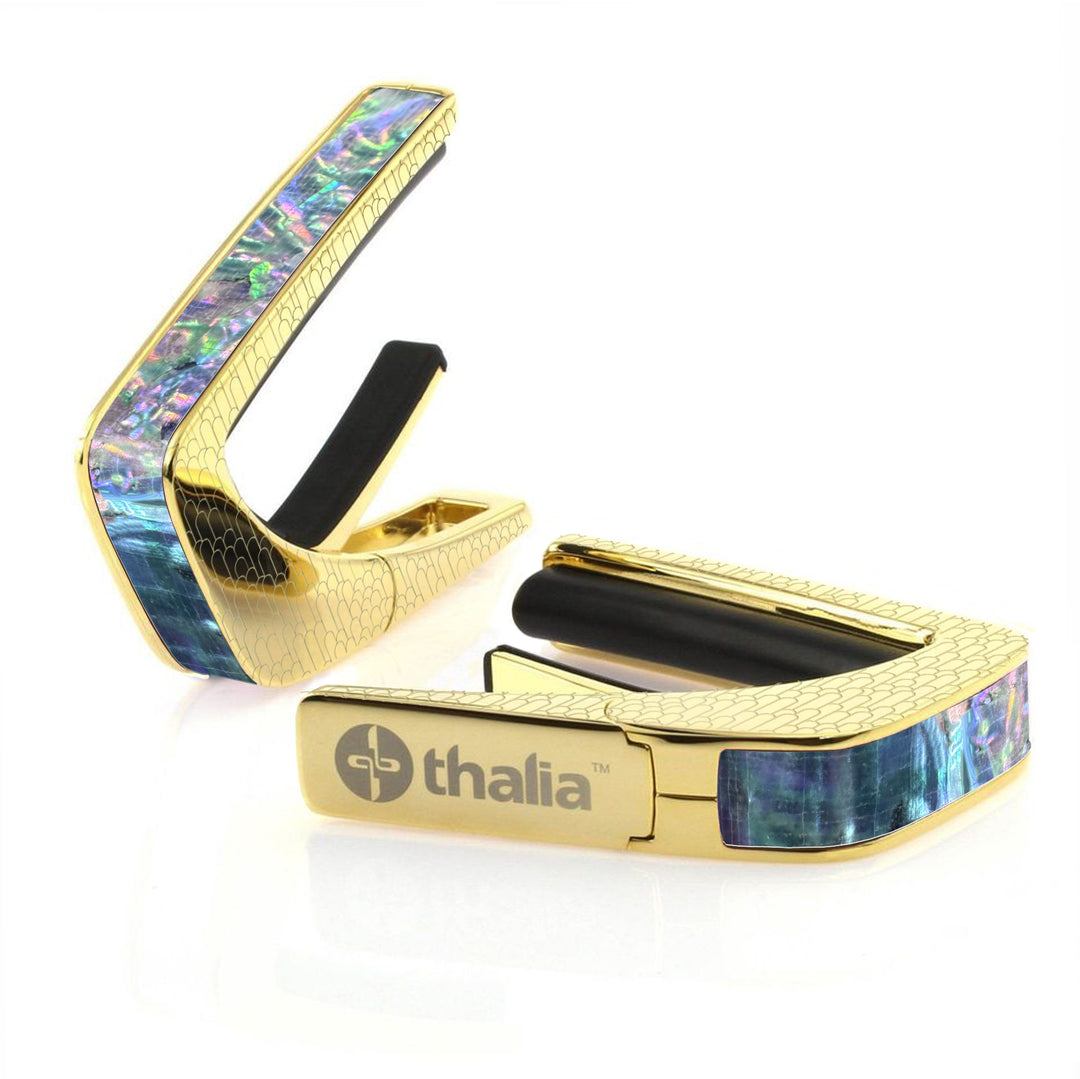 Prism Abalone | Capo