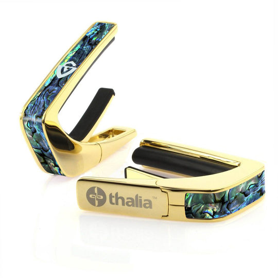 Guild Blue Abalone & G-Shield | Officially Licensed Capo