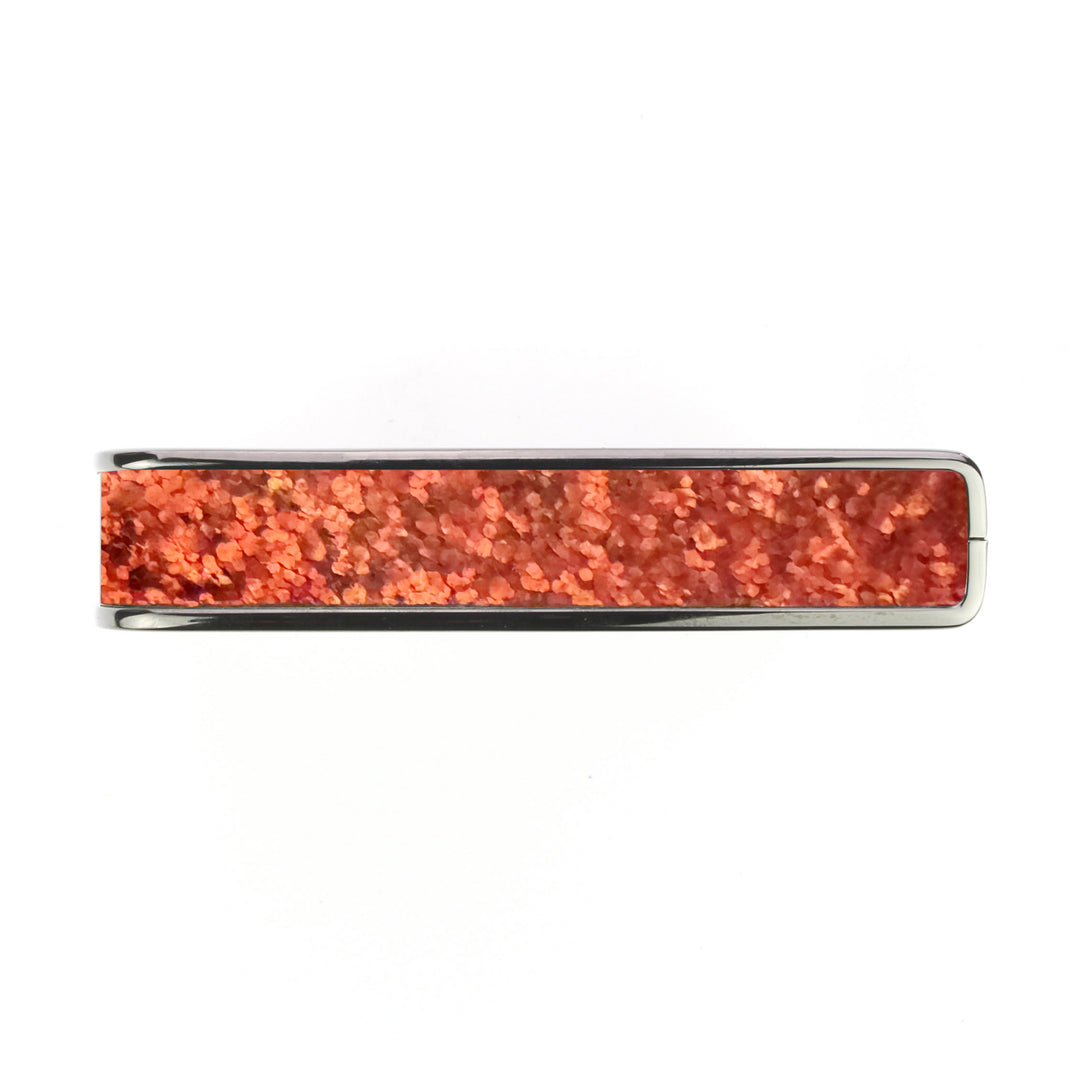 Sparkle Shell | Capo