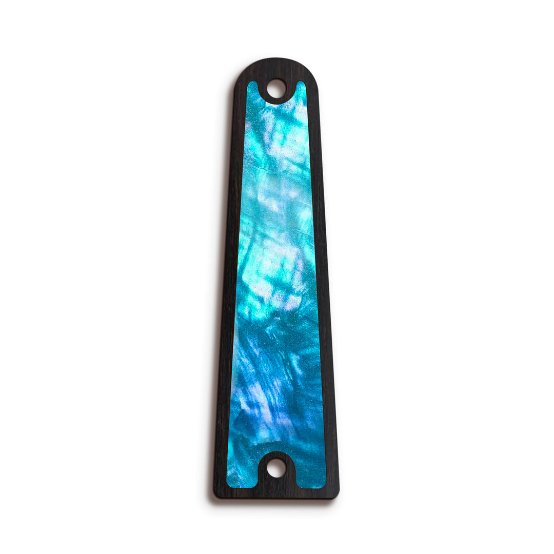 Taylor TR14 | Truss Rod Covers