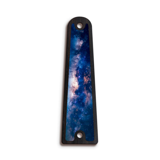 Taylor TR14 | Truss Rod Covers