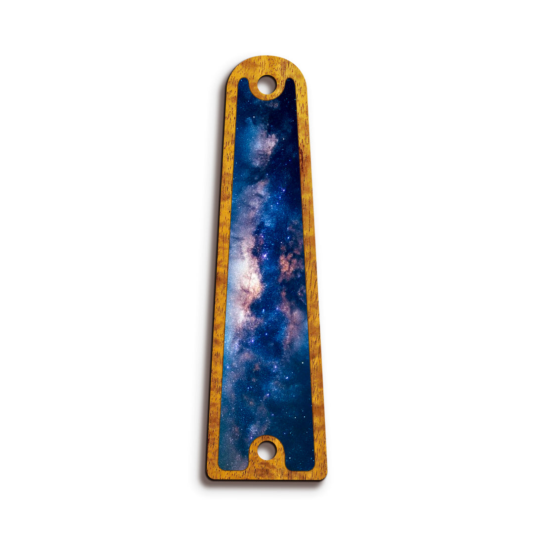 Taylor TR14 | Truss Rod Covers