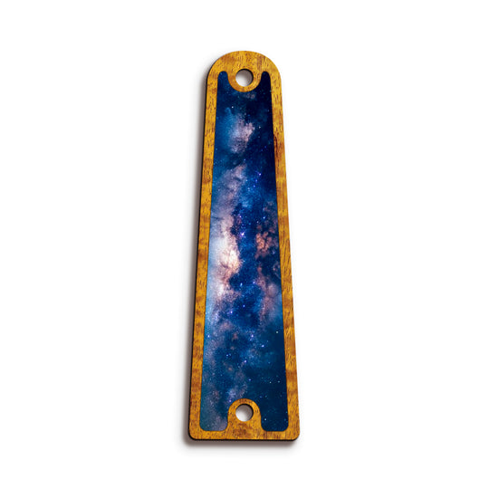 Taylor TR14 | Truss Rod Covers