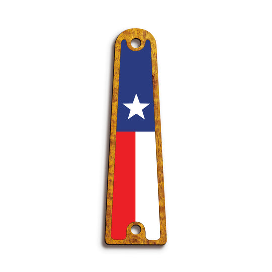 Taylor TR14 | Truss Rod Covers