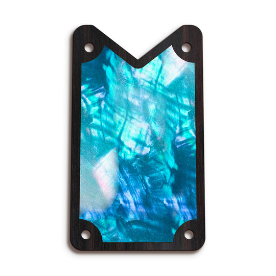 Schecter TR15 | Truss Rod Covers