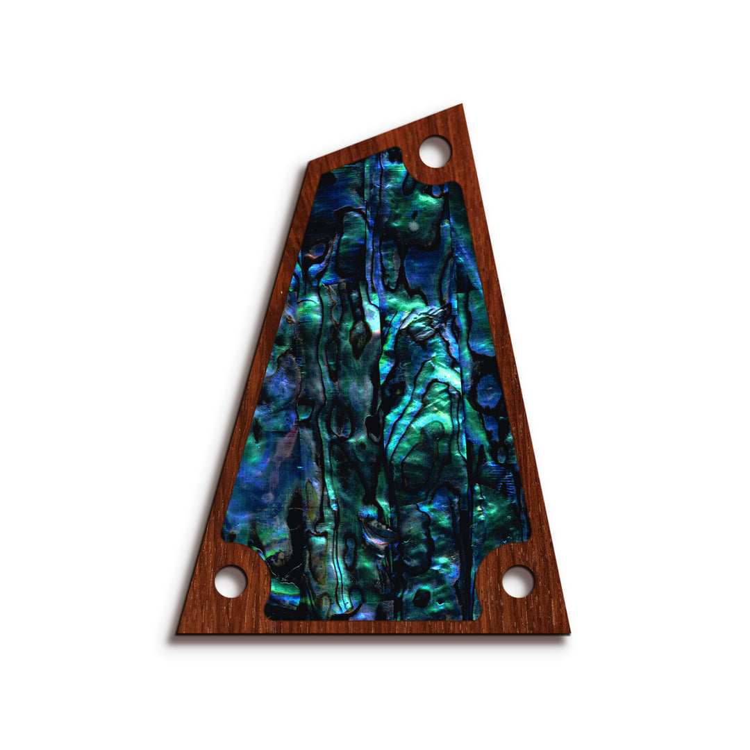 Ibanez TR24 | Truss Rod Covers