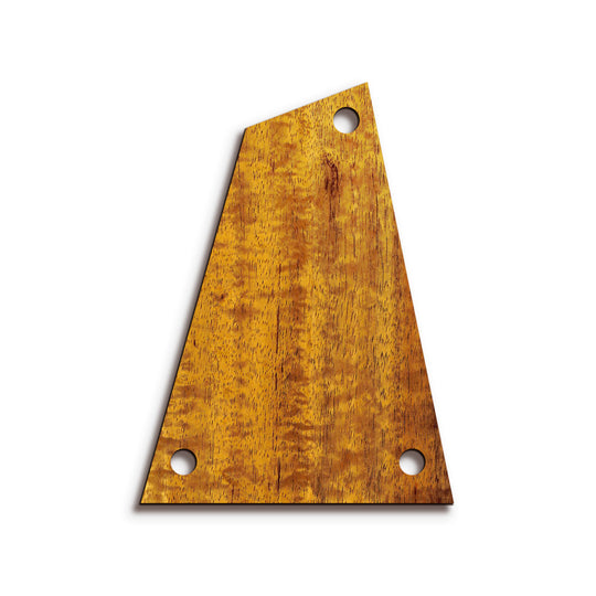 Ibanez TR24 | Truss Rod Covers