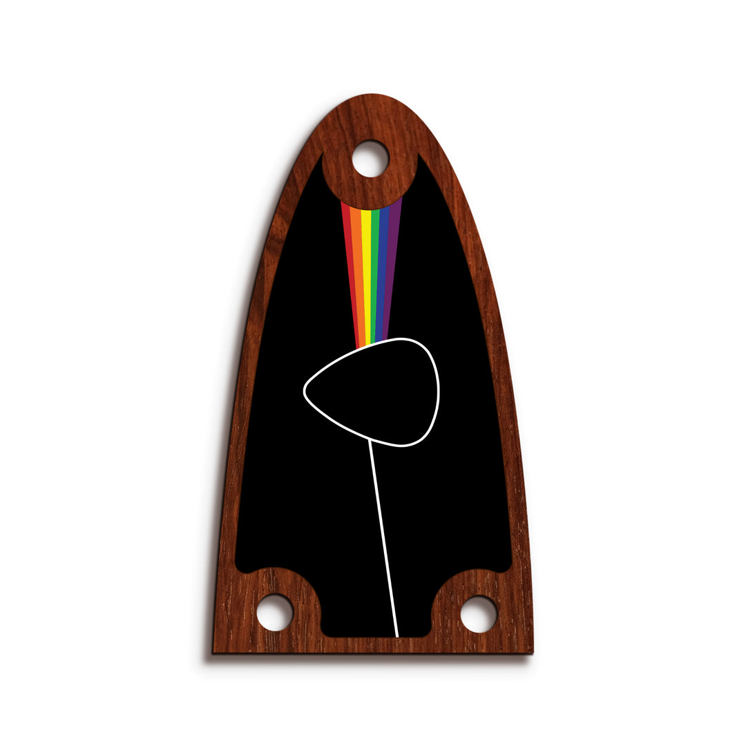 Alvarez TR26 | Truss Rod Covers