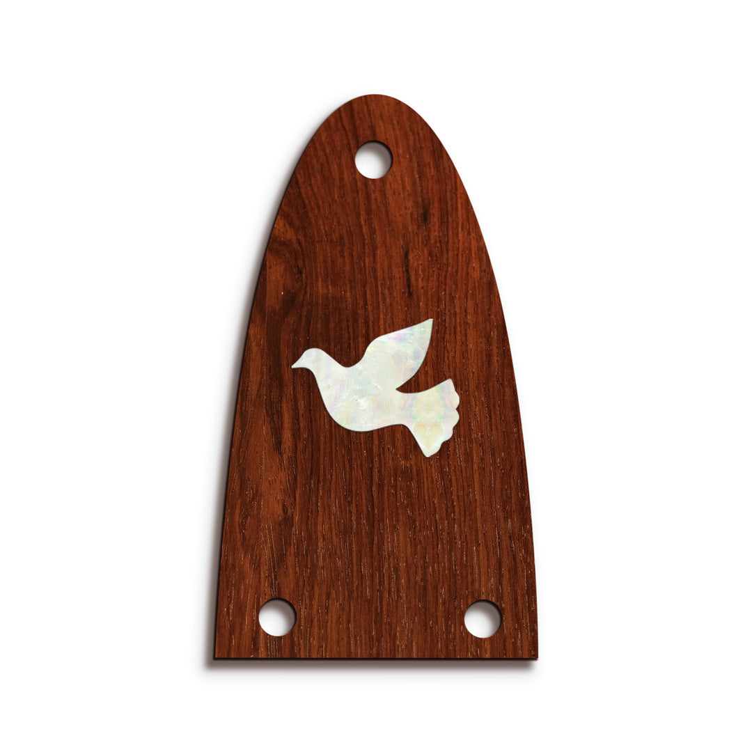 Alvarez TR26 | Truss Rod Covers