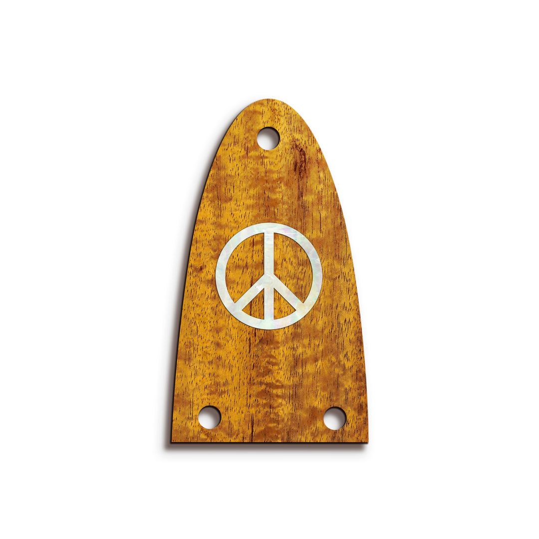 Alvarez TR26 | Truss Rod Covers