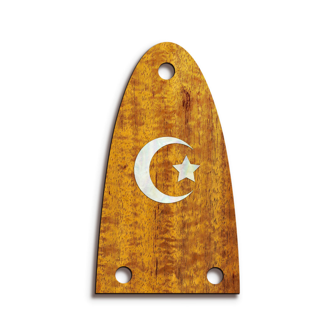 Alvarez TR26 | Truss Rod Covers