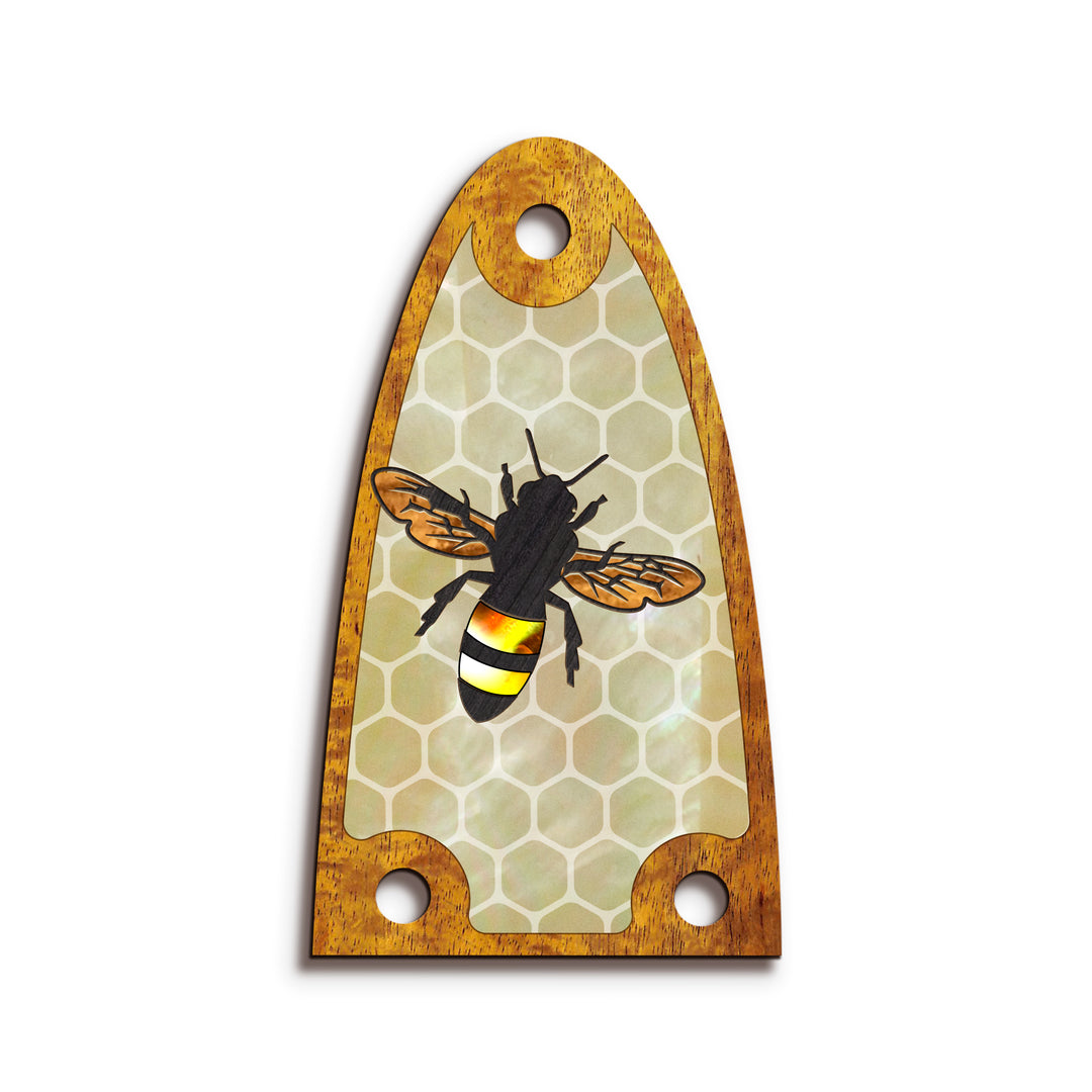 Alvarez TR26 | Truss Rod Covers