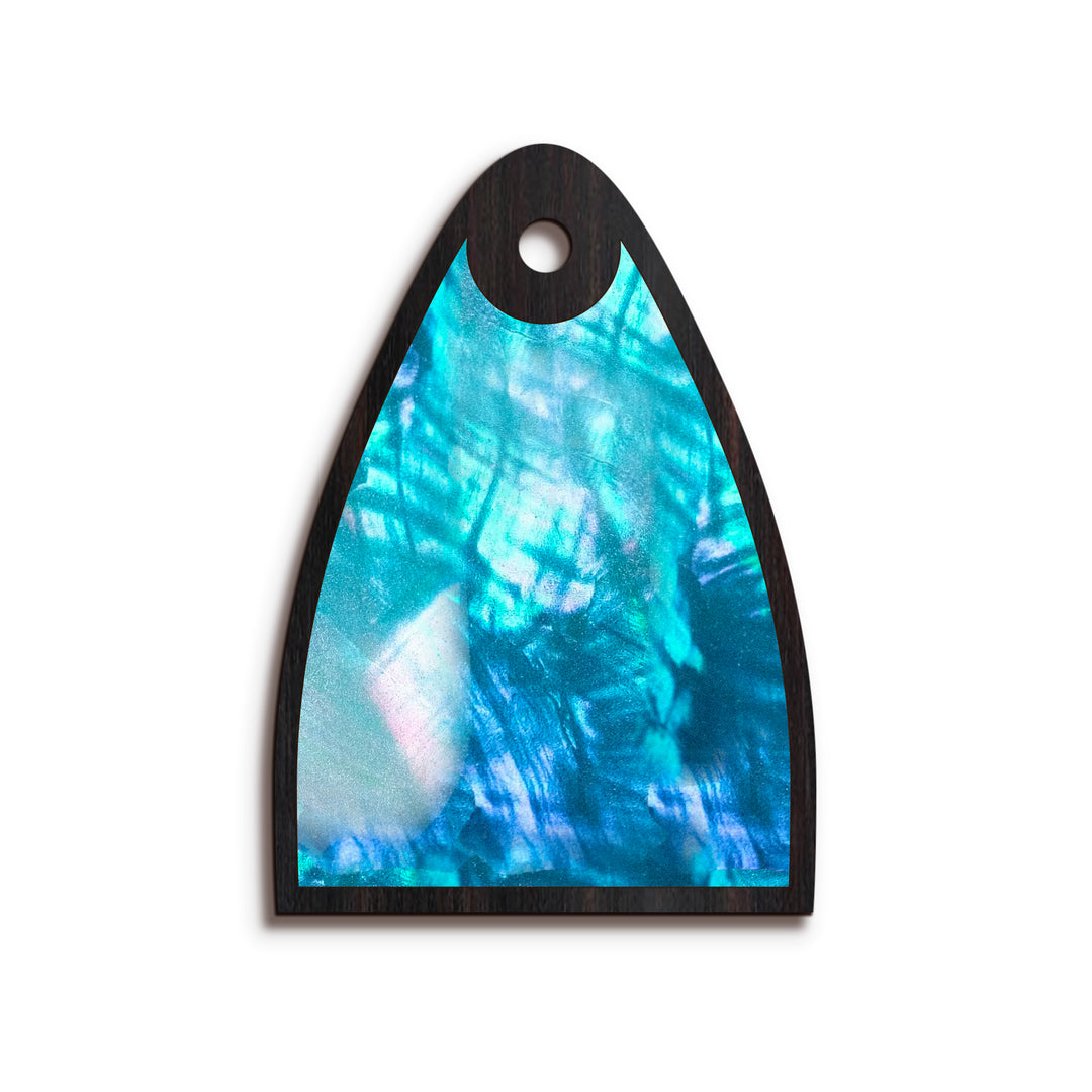 PRS TR30 | Truss Rod Covers