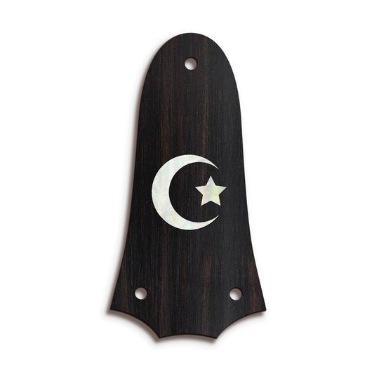 Taylor TR3 | Truss Rod Covers