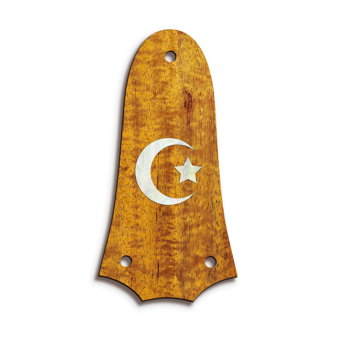 Taylor TR3 | Truss Rod Covers