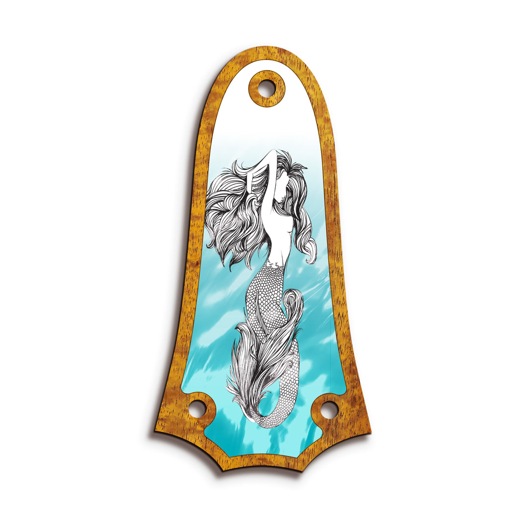 Taylor TR3 | Truss Rod Covers