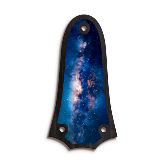 Taylor TR3 | Truss Rod Covers