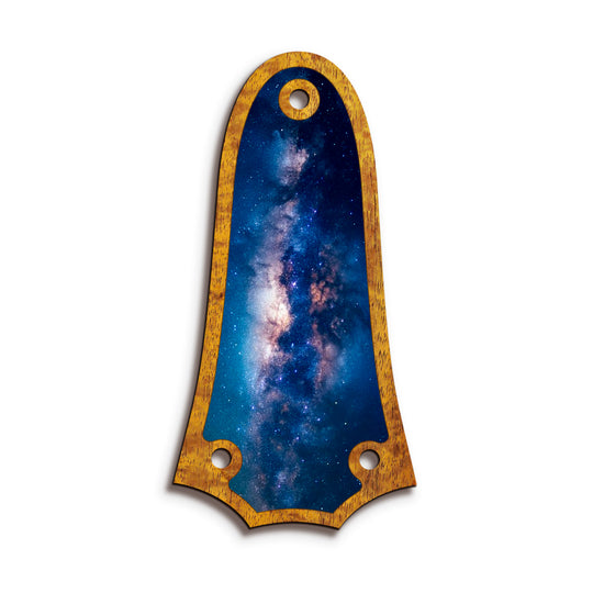 Taylor TR3 | Truss Rod Covers