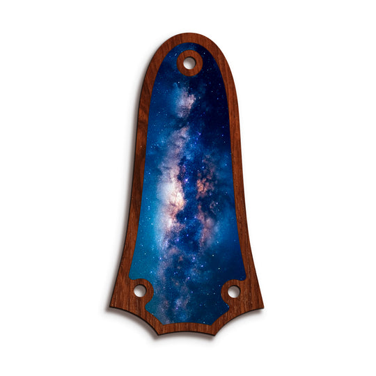 Taylor TR3 | Truss Rod Covers