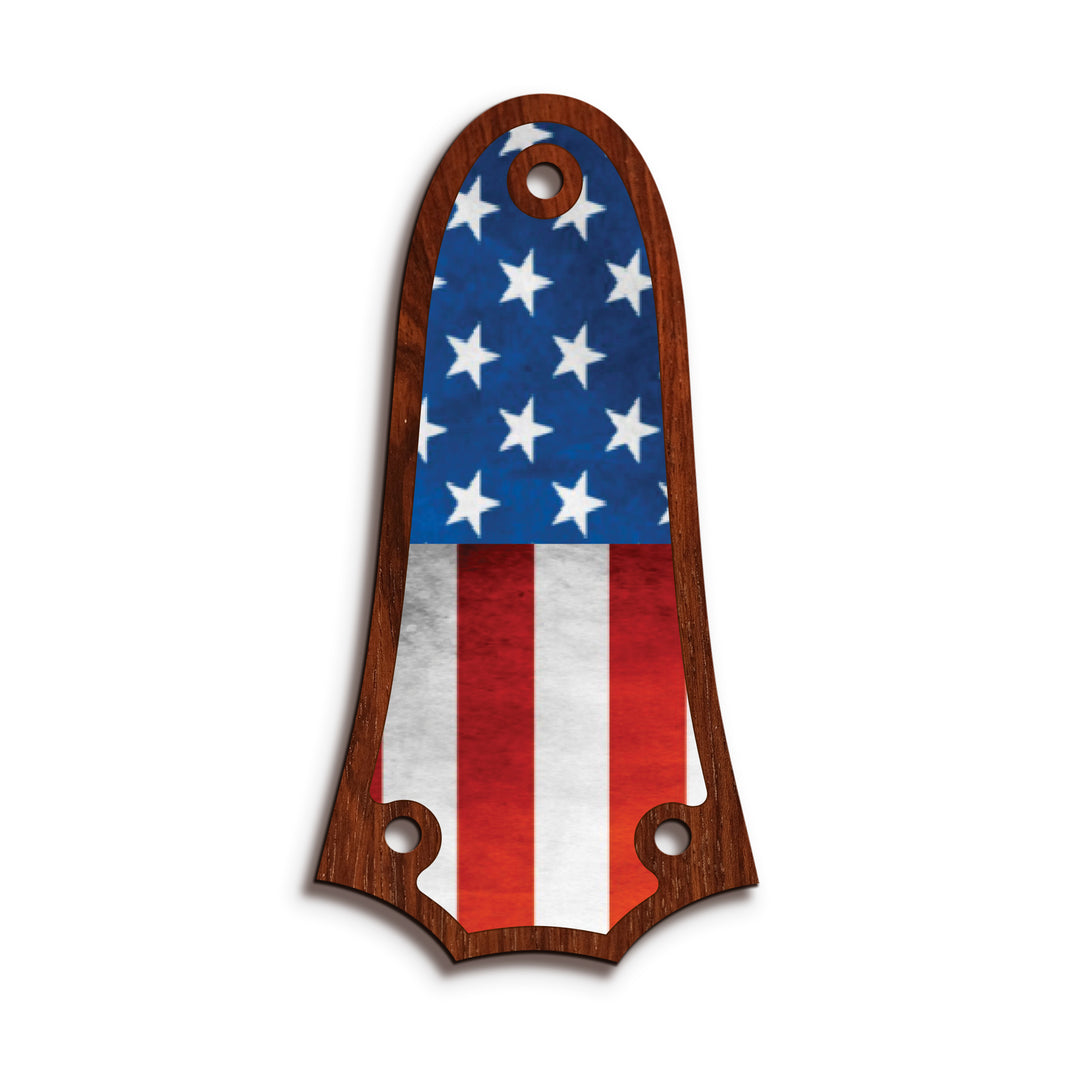 Taylor TR3 | Truss Rod Covers