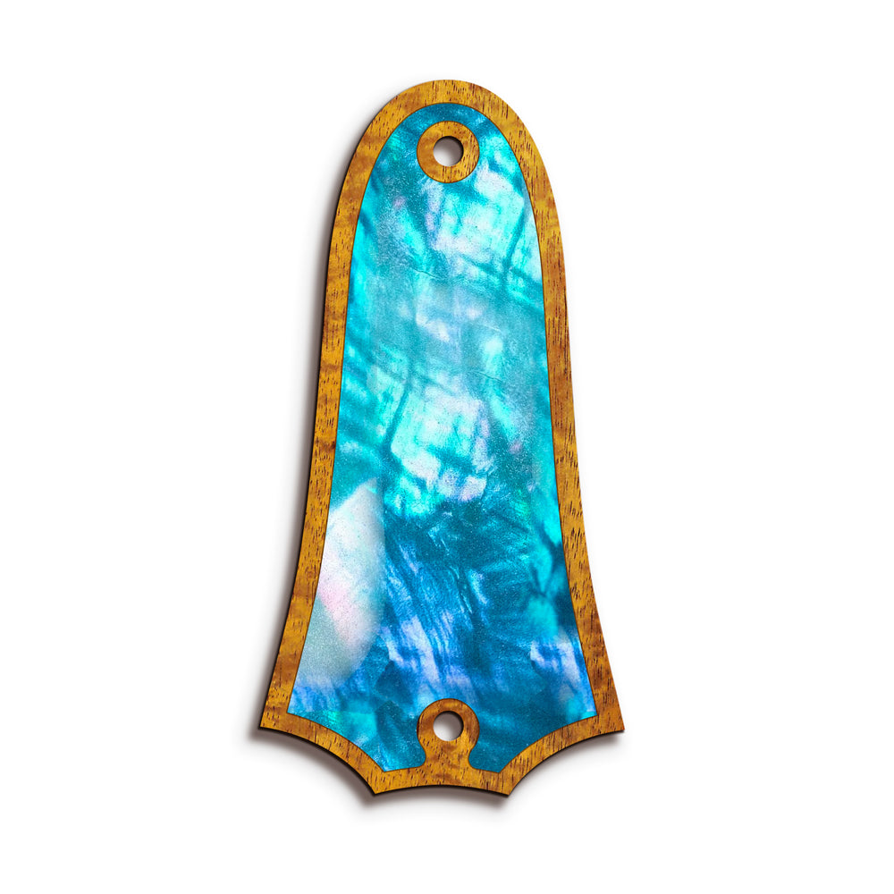 Taylor TR4 | Truss Rod Covers