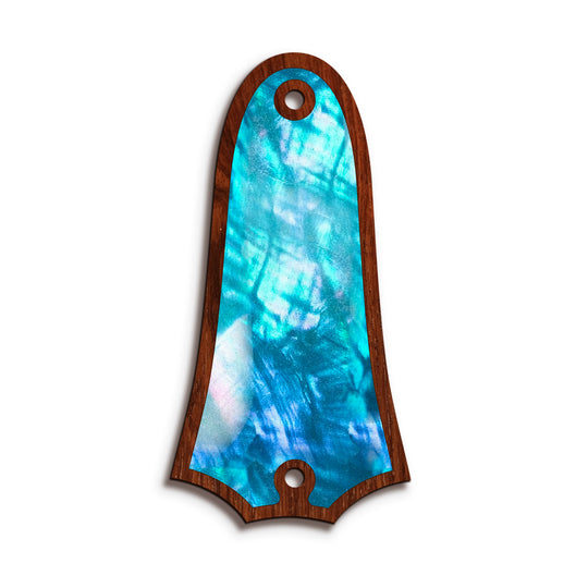 Taylor TR4 | Truss Rod Covers