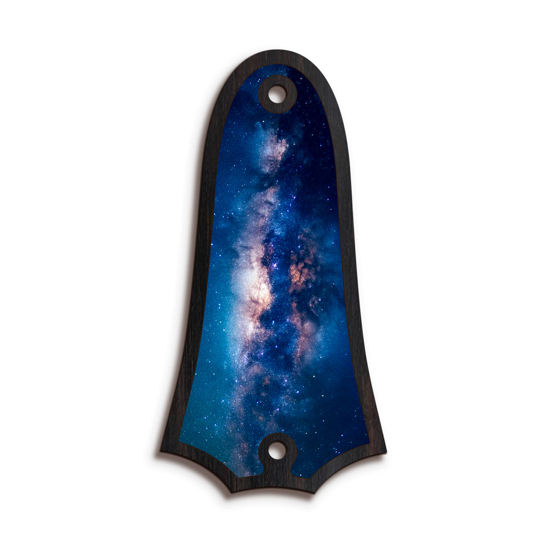 Taylor TR4 | Truss Rod Covers