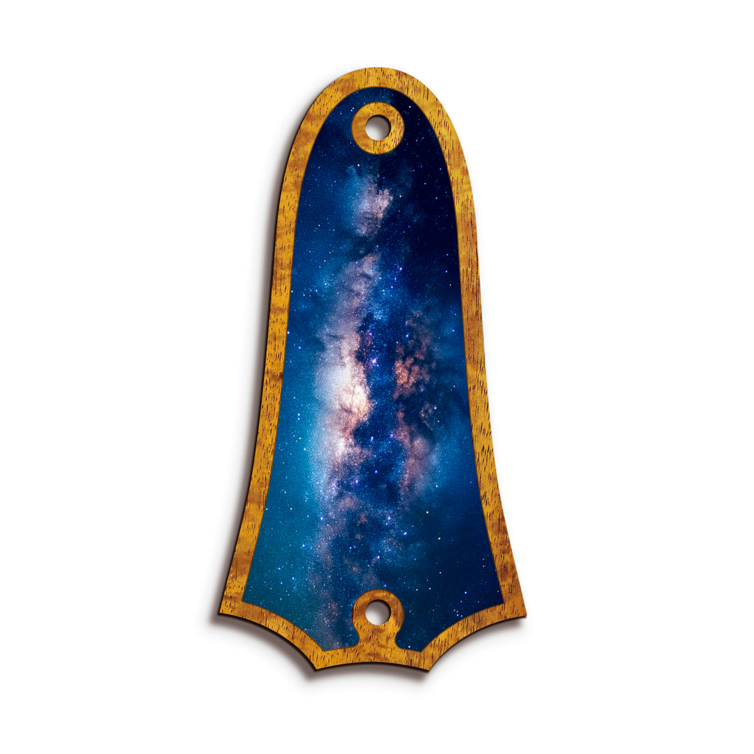 Taylor TR4 | Truss Rod Covers