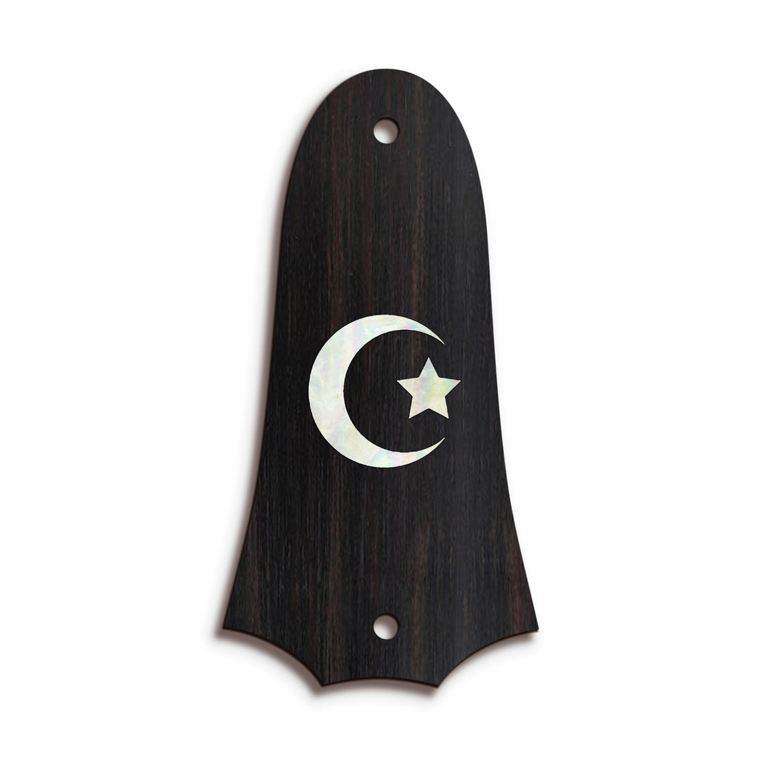 Taylor TR4 | Truss Rod Covers
