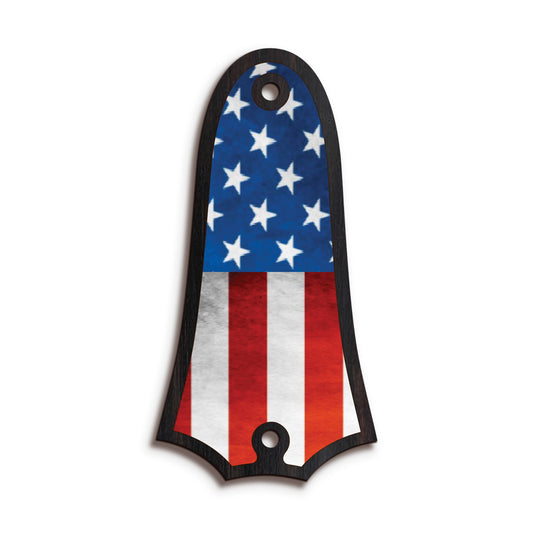 Taylor TR4 | Truss Rod Covers