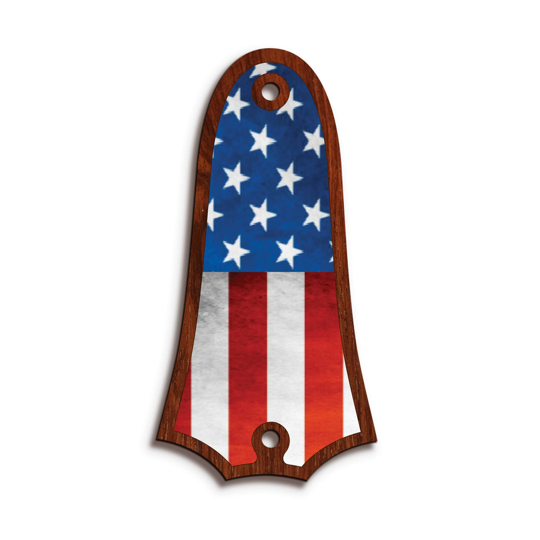 Taylor TR4 | Truss Rod Covers